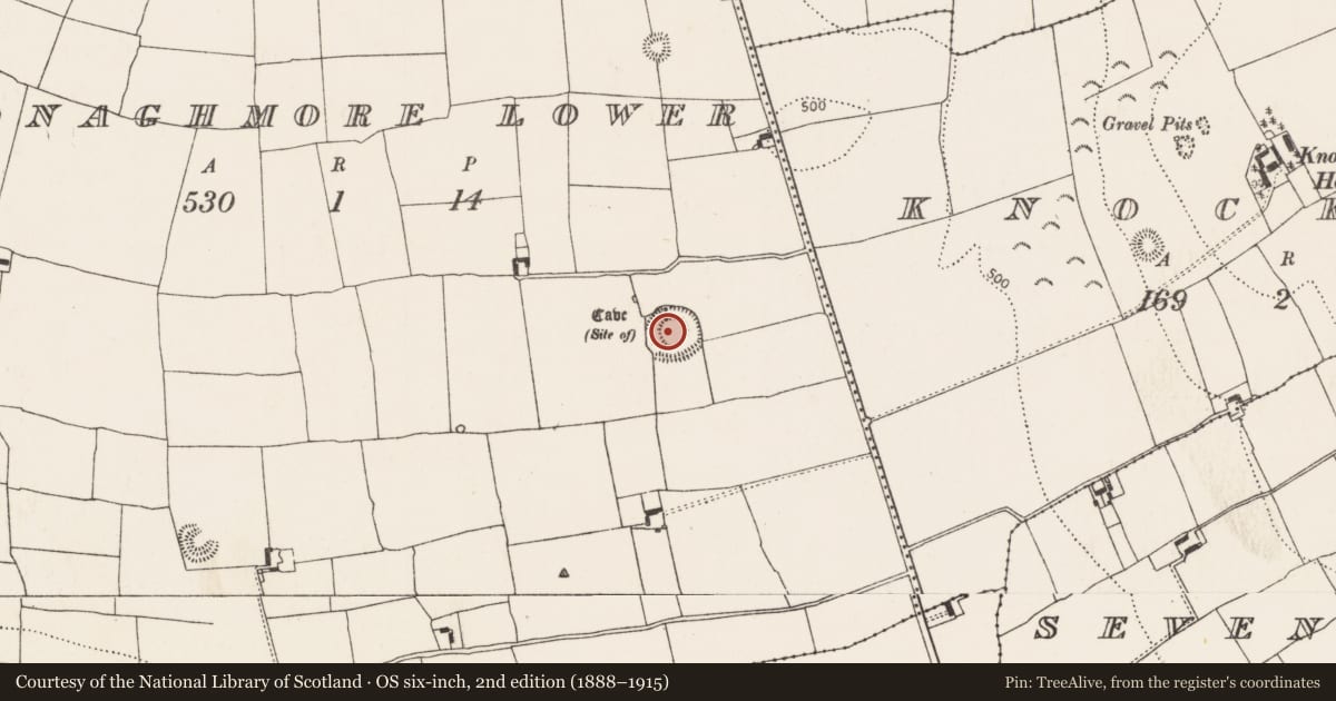 Ordnance Survey six-inch map, 2nd edition (1888–1915) covering the location of Castle - ringwork and bailey, Donaghmore Lower, County Kilkenny, with a pin at the register's coordinates