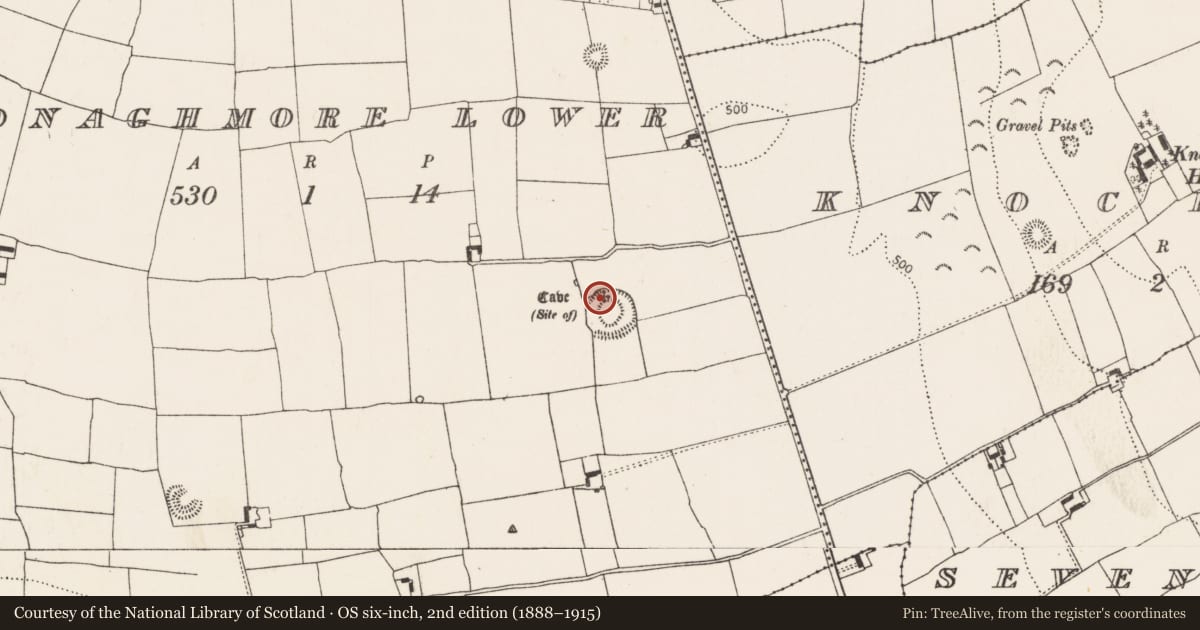 Ordnance Survey six-inch map, 2nd edition (1888–1915) covering the location of Souterrain, Donaghmore Lower, County Kilkenny, with a pin at the register's coordinates