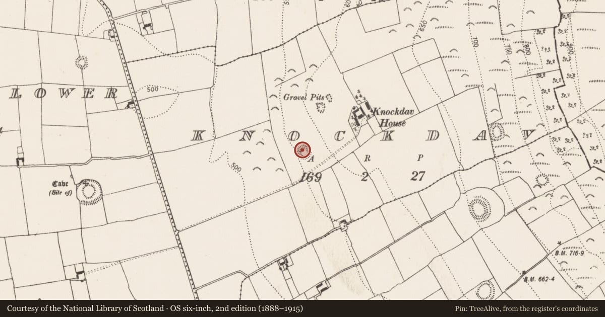 Ordnance Survey six-inch map, 2nd edition (1888–1915) covering the location of Ringfort - rath, Knockdav, County Kilkenny, with a pin at the register's coordinates