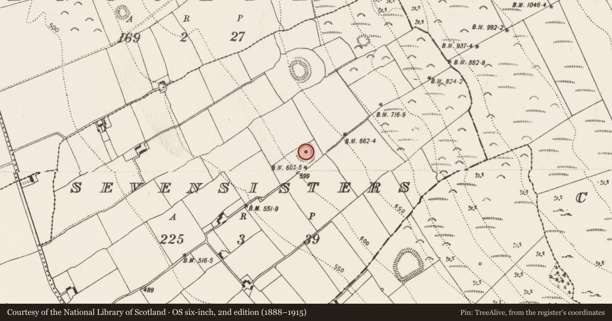 Ordnance Survey six-inch map, 2nd edition (1888–1915) covering the location of Ringfort - rath, Sevensisters, County Kilkenny, with a pin at the register's coordinates