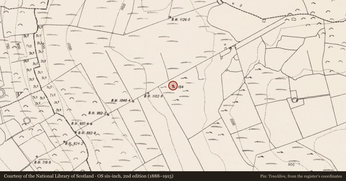 Ordnance Survey six-inch map, 2nd edition (1888–1915) covering the location of Megalithic tomb - passage tomb, Clomantagh (Mountgarret), County Kilkenny, with a pin at the register's coordinates