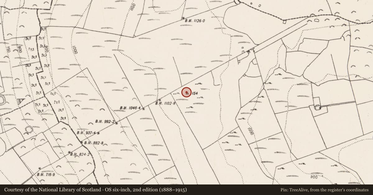 Ordnance Survey six-inch map, 2nd edition (1888–1915) covering the location of Hillfort, Clomantagh (Mountgarret), County Kilkenny, with a pin at the register's coordinates