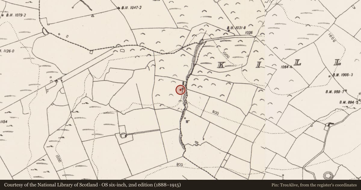 Ordnance Survey six-inch map, 2nd edition (1888–1915) covering the location of Enclosure, Clomantagh (Mountgarret), County Kilkenny, with a pin at the register's coordinates