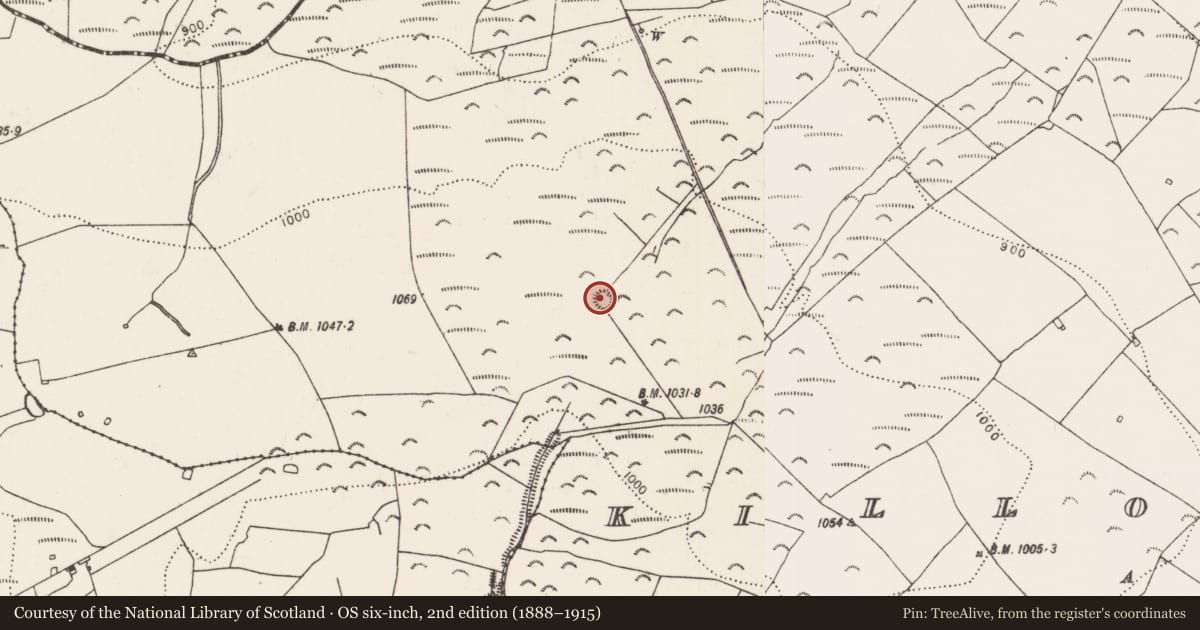Ordnance Survey six-inch map, 2nd edition (1888–1915) covering the location of Enclosure, Killoshulan, County Kilkenny, with a pin at the register's coordinates