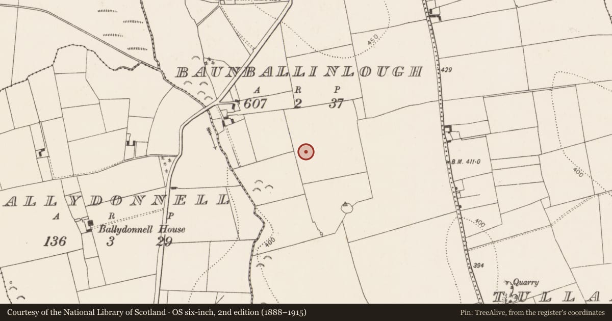 Ordnance Survey six-inch map, 2nd edition (1888–1915) covering the location of Souterrain, Baunballinlough, County Kilkenny, with a pin at the register's coordinates