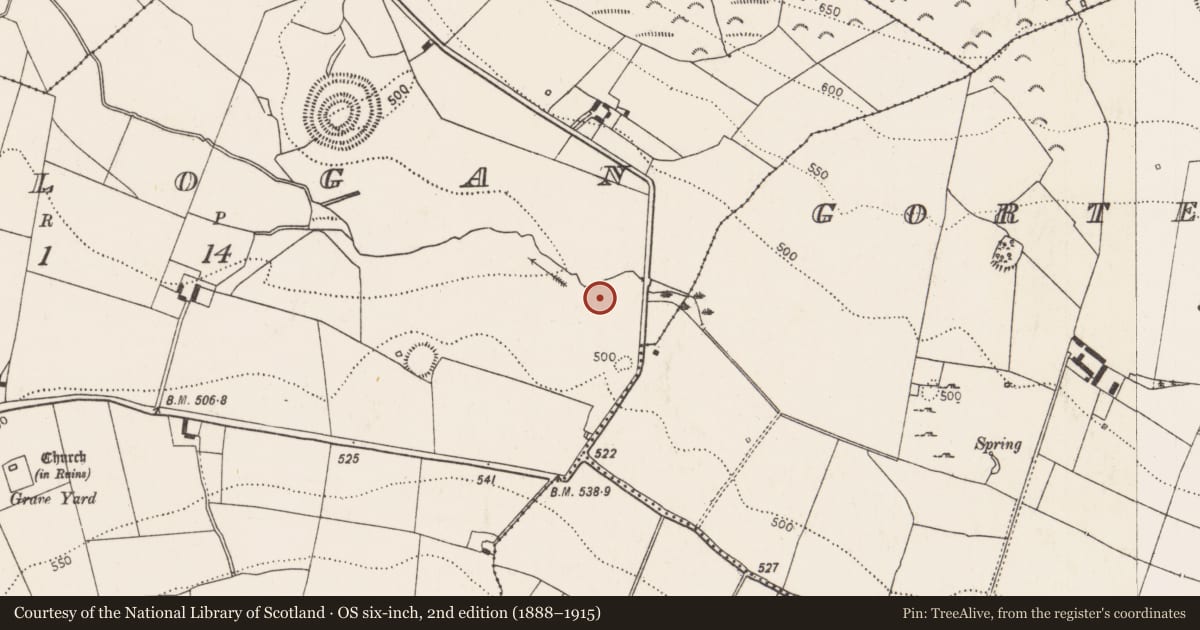 Ordnance Survey six-inch map, 2nd edition (1888–1915) covering the location of Ritual site - holy well, Rathlogan, County Kilkenny, with a pin at the register's coordinates