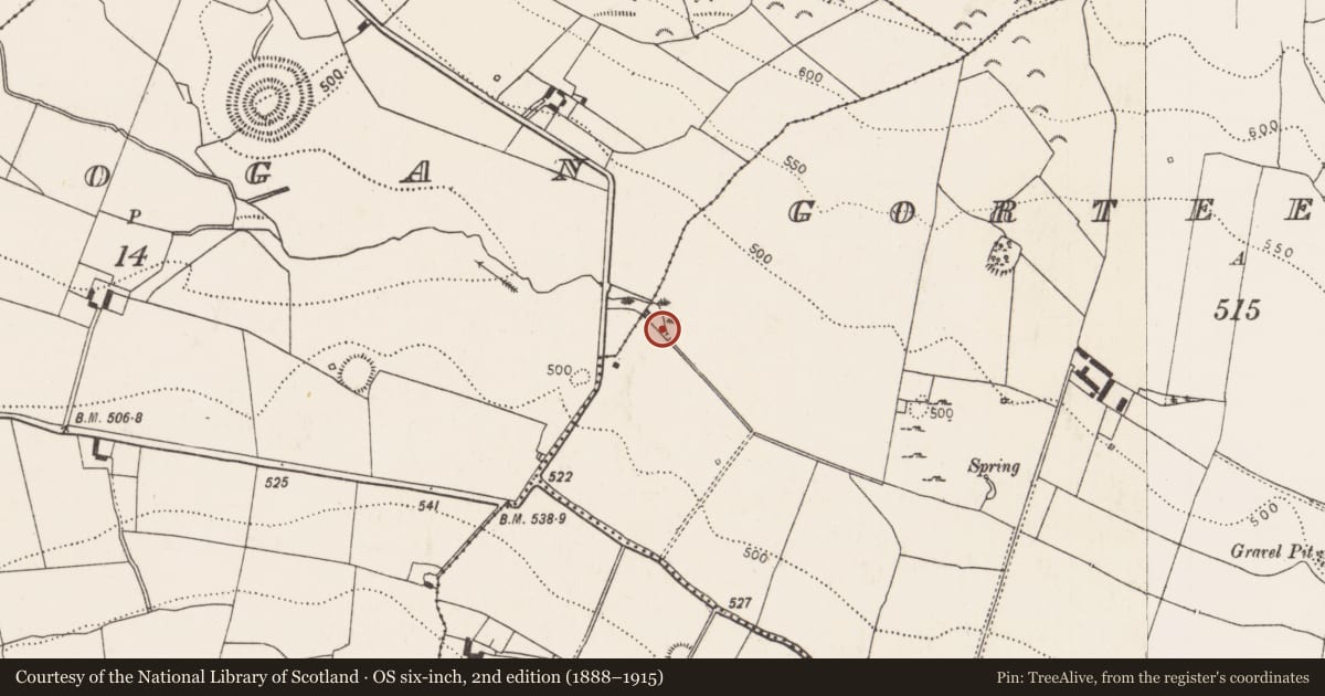 Ordnance Survey six-inch map, 2nd edition (1888–1915) covering the location of Ritual site - holy well, Gorteennamuck, County Kilkenny, with a pin at the register's coordinates