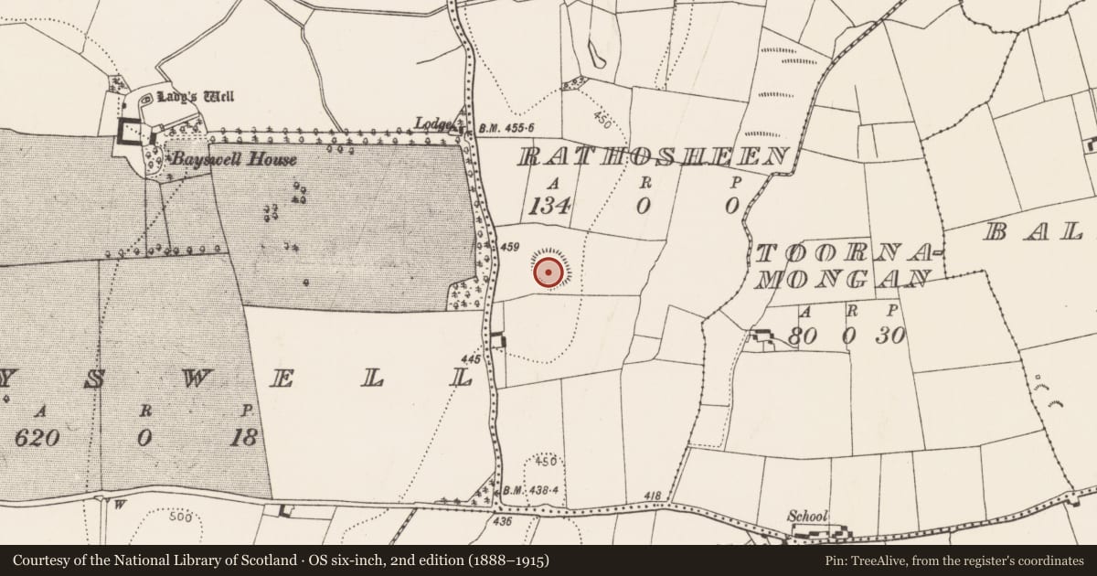 Ordnance Survey six-inch map, 2nd edition (1888–1915) covering the location of Standing stone - pair, Rathosheen, County Kilkenny, with a pin at the register's coordinates