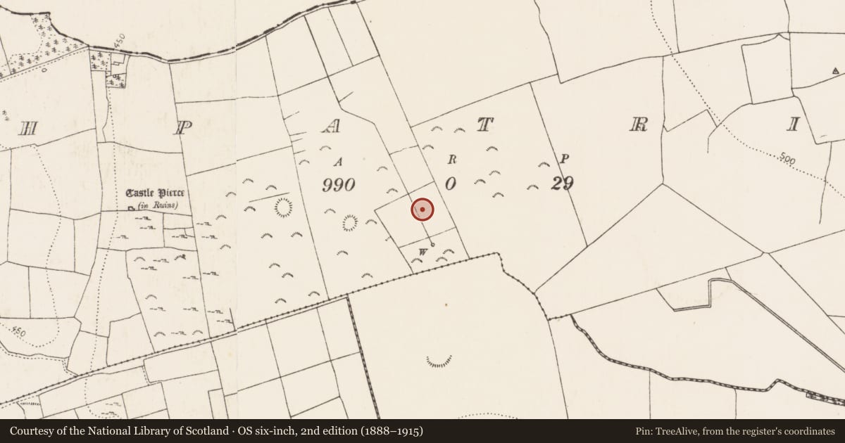 Ordnance Survey six-inch map, 2nd edition (1888–1915) covering the location of Fulacht fia, Rathpatrick, County Kilkenny, with a pin at the register's coordinates