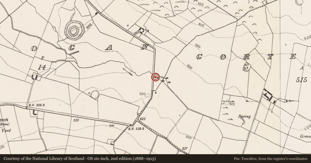 Ordnance Survey six-inch map, 2nd edition (1888–1915) covering the location of Fulacht fia, Rathlogan, County Kilkenny, with a pin at the register's coordinates