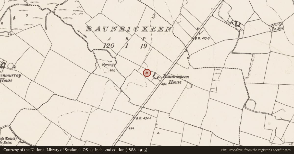 Ordnance Survey six-inch map, 2nd edition (1888–1915) covering the location of Fulacht fia, Baunrickeen, County Kilkenny, with a pin at the register's coordinates
