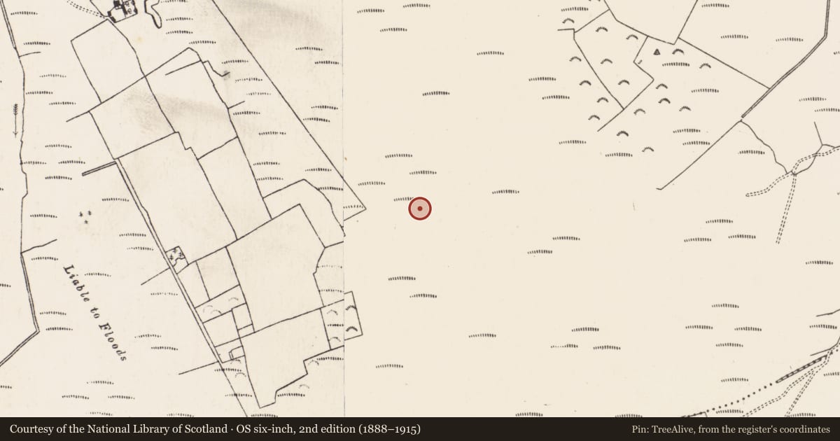 Ordnance Survey six-inch map, 2nd edition (1888–1915) covering the location of Road - class 3 togher, Baunmore, County Kilkenny, with a pin at the register's coordinates