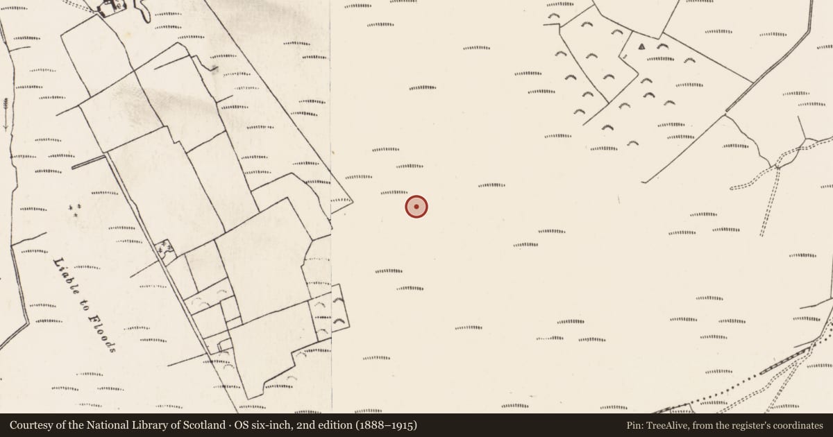 Ordnance Survey six-inch map, 2nd edition (1888–1915) covering the location of Road - class 2 togher, Baunmore, County Kilkenny, with a pin at the register's coordinates