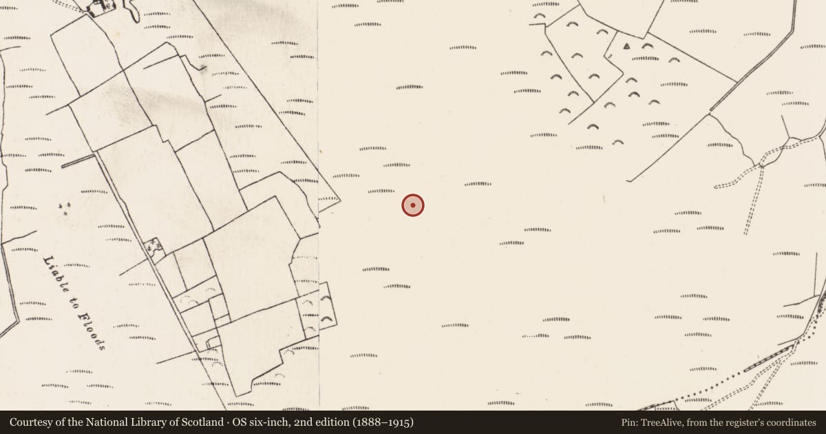 Ordnance Survey six-inch map, 2nd edition (1888–1915) covering the location of Road - class 3 togher, Baunmore, County Kilkenny, with a pin at the register's coordinates
