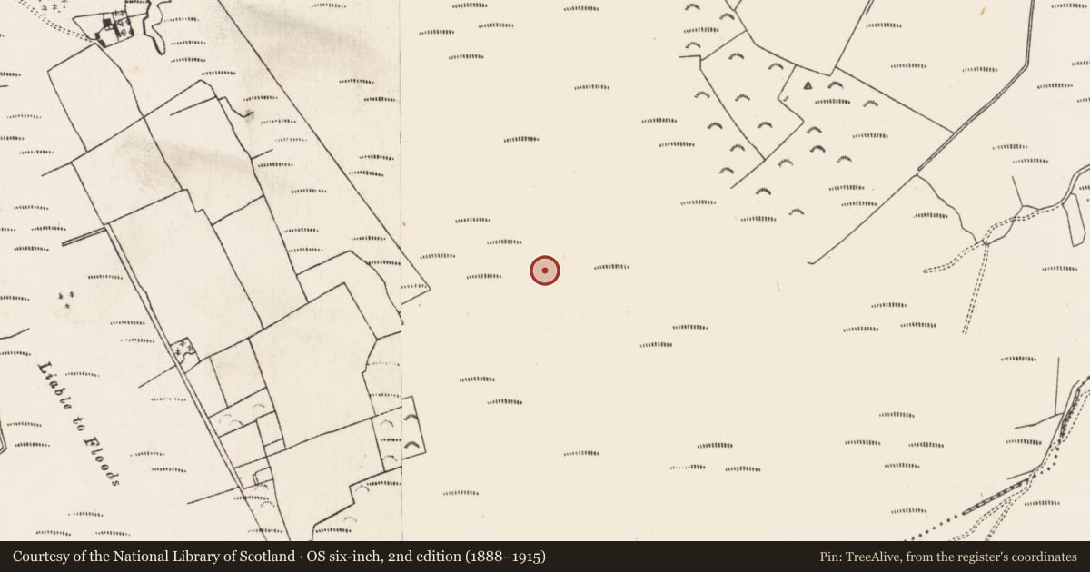 Ordnance Survey six-inch map, 2nd edition (1888–1915) covering the location of Road - class 3 togher, Baunmore, County Kilkenny, with a pin at the register's coordinates
