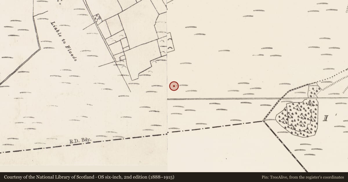 Ordnance Survey six-inch map, 2nd edition (1888–1915) covering the location of Post row - peatland, Baunmore, County Kilkenny, with a pin at the register's coordinates