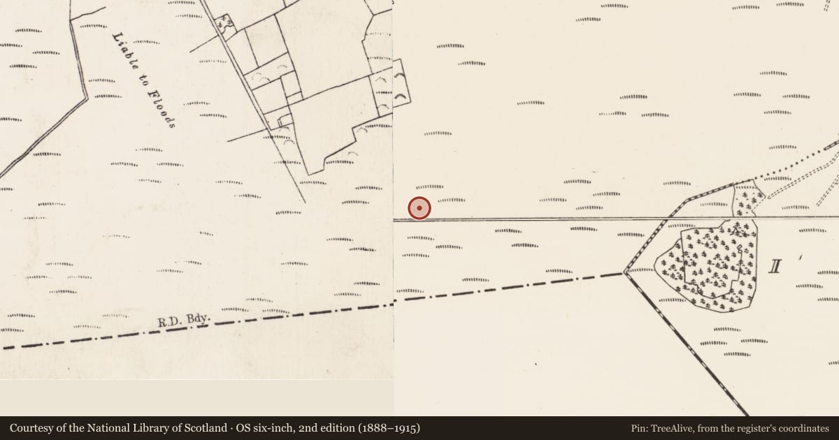 Ordnance Survey six-inch map, 2nd edition (1888–1915) covering the location of Road - class 3 togher, Baunmore, County Kilkenny, with a pin at the register's coordinates