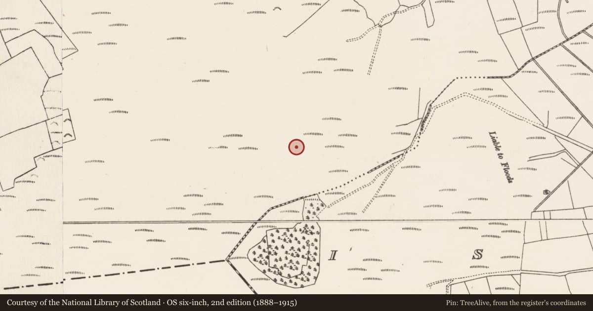 Ordnance Survey six-inch map, 2nd edition (1888–1915) covering the location of Road - class 3 togher, Baunmore, County Kilkenny, with a pin at the register's coordinates