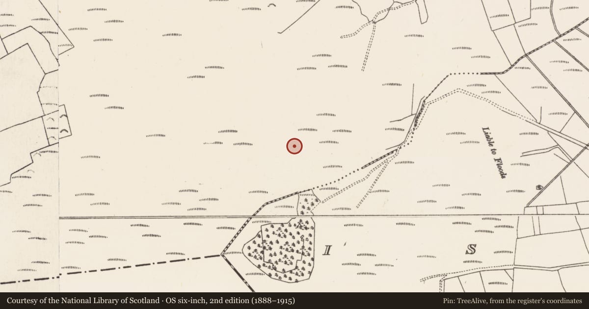 Ordnance Survey six-inch map, 2nd edition (1888–1915) covering the location of Road - class 3 togher, Baunmore, County Kilkenny, with a pin at the register's coordinates