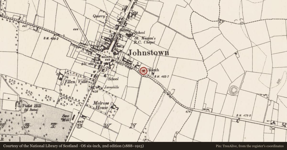 Ordnance Survey six-inch map, 2nd edition (1888–1915) covering the location of Architectural feature, Foulkscourt, County Kilkenny, with a pin at the register's coordinates