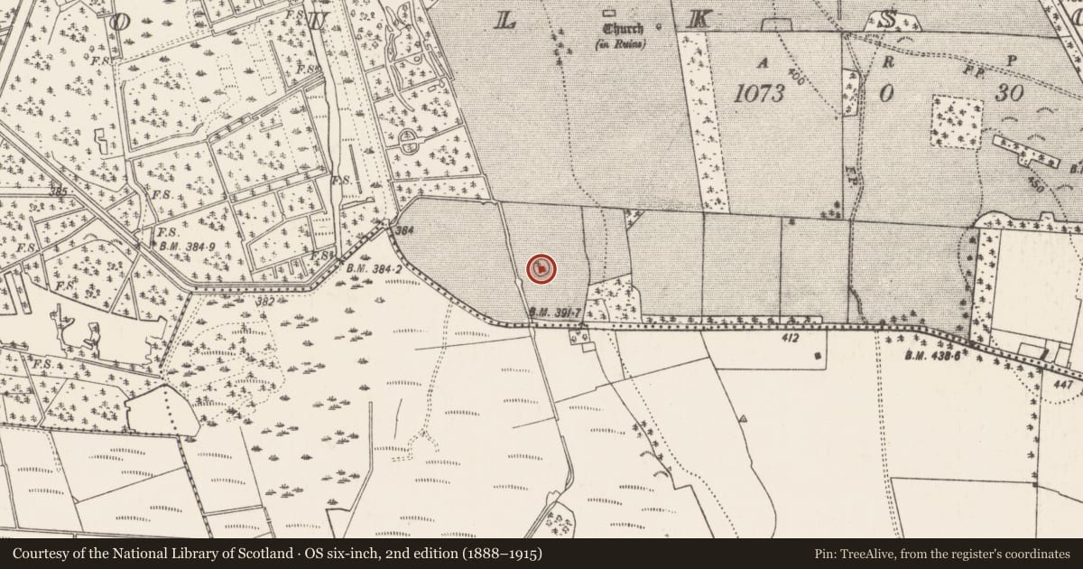 Ordnance Survey six-inch map, 2nd edition (1888–1915) covering the location of Designed landscape - tree-ring, Foulkscourt, County Kilkenny, with a pin at the register's coordinates