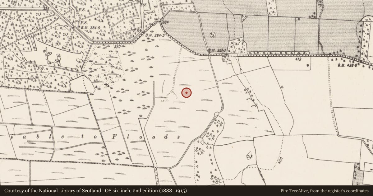 Ordnance Survey six-inch map, 2nd edition (1888–1915) covering the location of Burnt mound, Warrenstown, County Kilkenny, with a pin at the register's coordinates