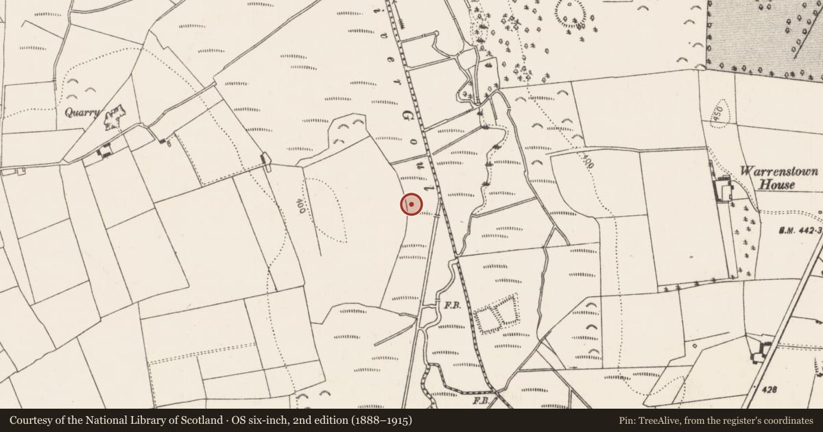 Ordnance Survey six-inch map, 2nd edition (1888–1915) covering the location of Fulacht fia, Islands, County Kilkenny, with a pin at the register's coordinates