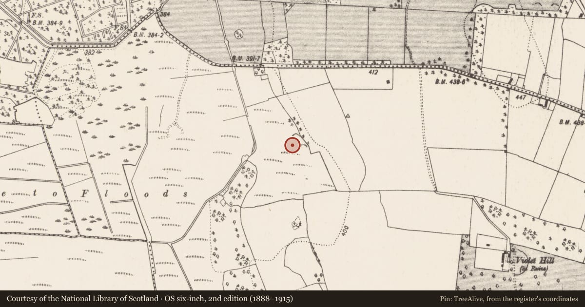 Ordnance Survey six-inch map, 2nd edition (1888–1915) covering the location of Fulacht fia, Warrenstown, County Kilkenny, with a pin at the register's coordinates