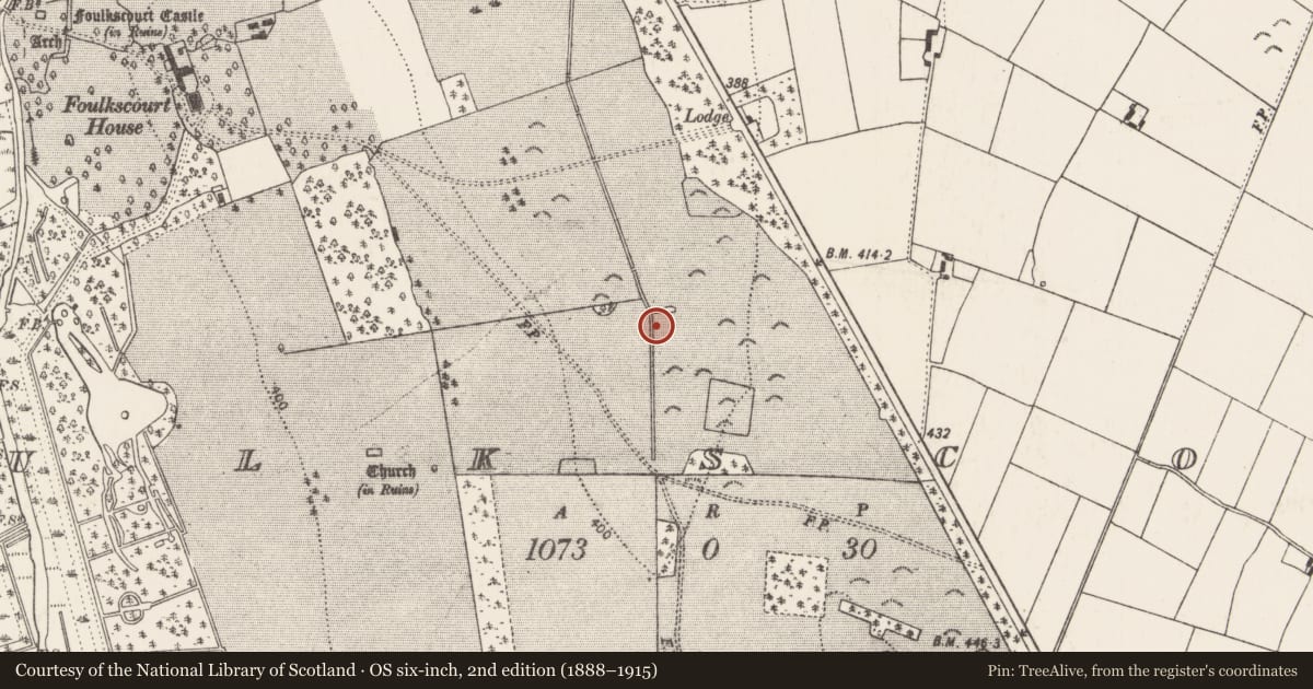 Ordnance Survey six-inch map, 2nd edition (1888–1915) covering the location of Fulacht fia, Foulkscourt, County Kilkenny, with a pin at the register's coordinates