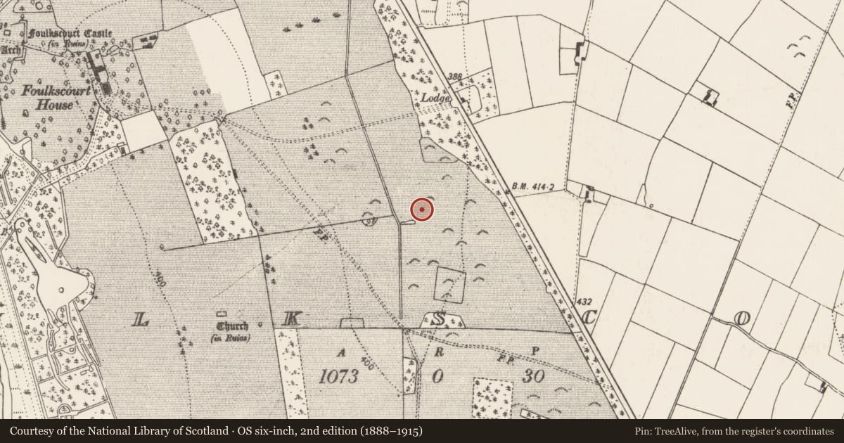 Ordnance Survey six-inch map, 2nd edition (1888–1915) covering the location of Fulacht fia, Foulkscourt, County Kilkenny, with a pin at the register's coordinates