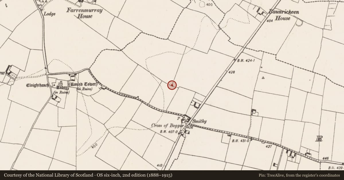 Ordnance Survey six-inch map, 2nd edition (1888–1915) covering the location of Kiln - lime, Rathlogan, County Kilkenny, with a pin at the register's coordinates