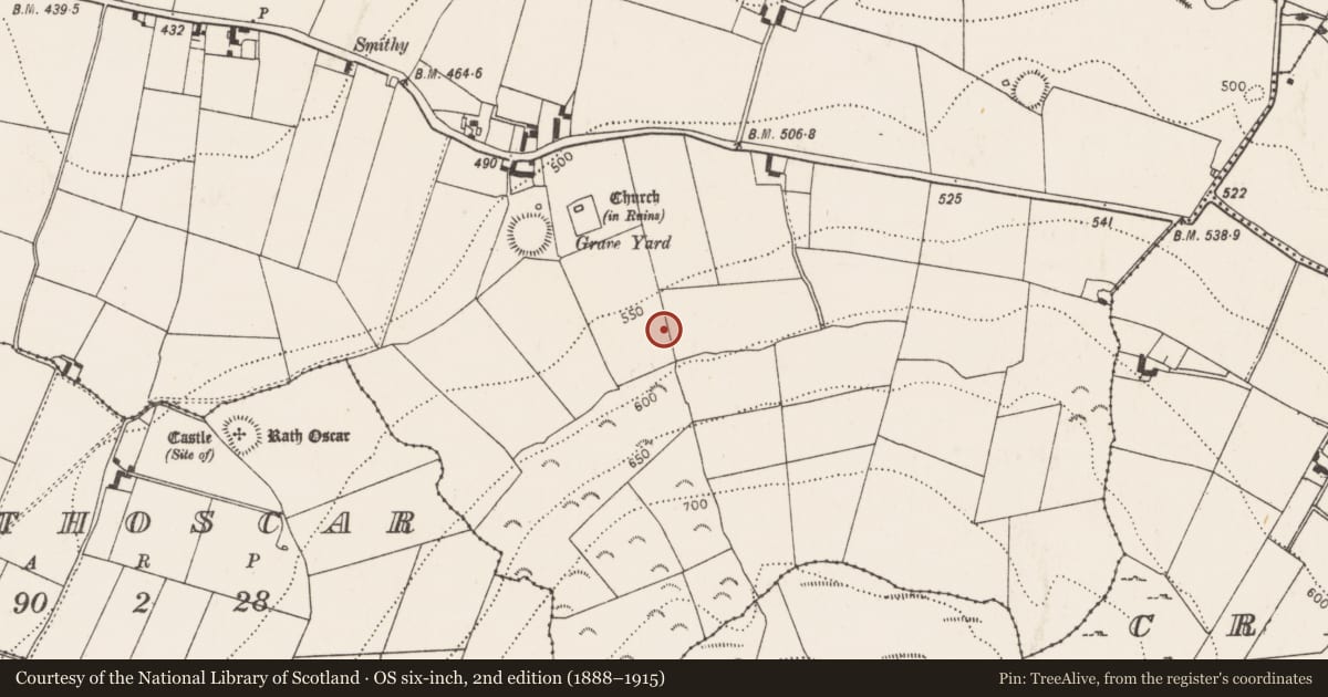 Ordnance Survey six-inch map, 2nd edition (1888–1915) covering the location of Enclosure, Rathlogan, County Kilkenny, with a pin at the register's coordinates