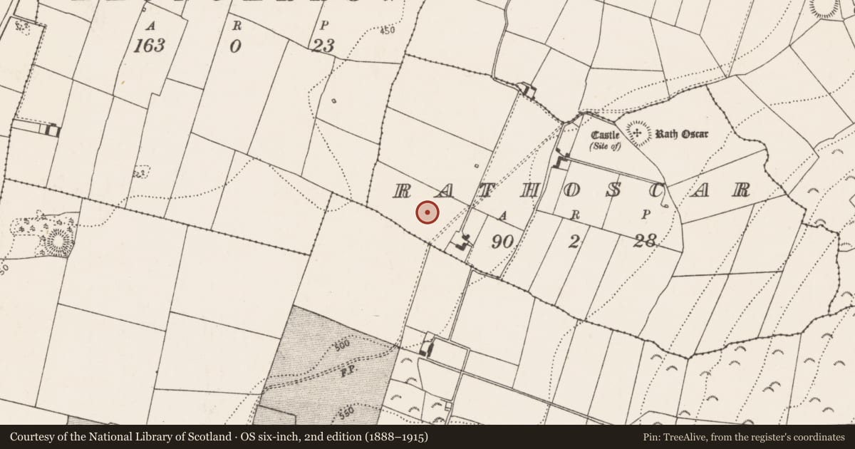 Ordnance Survey six-inch map, 2nd edition (1888–1915) covering the location of Enclosure, Rathoscar, County Kilkenny, with a pin at the register's coordinates