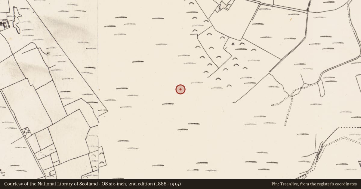 Ordnance Survey six-inch map, 2nd edition (1888–1915) covering the location of Platform - peatland, Baunmore, County Kilkenny, with a pin at the register's coordinates