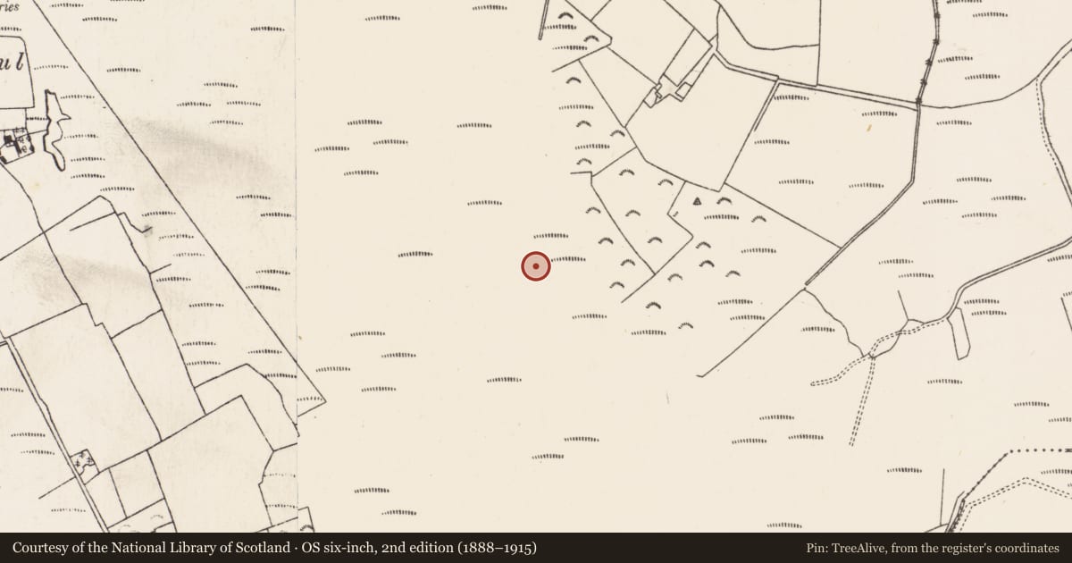Ordnance Survey six-inch map, 2nd edition (1888–1915) covering the location of Road - class 3 togher, Baunmore, County Kilkenny, with a pin at the register's coordinates