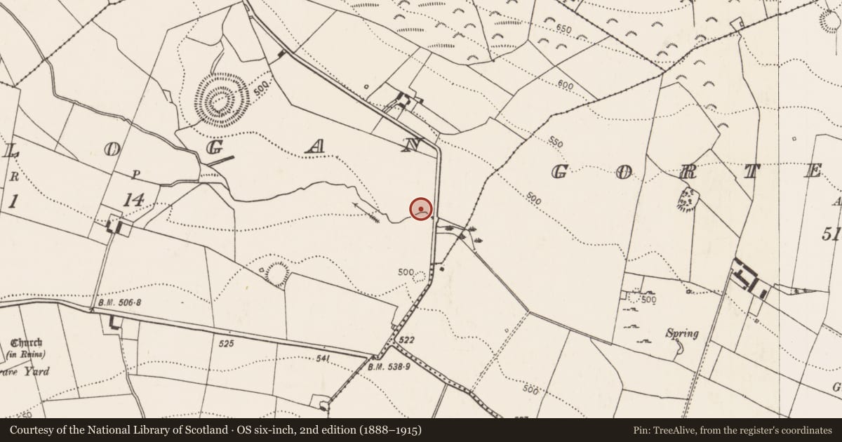 Ordnance Survey six-inch map, 2nd edition (1888–1915) covering the location of Fulacht fia, Rathlogan, County Kilkenny, with a pin at the register's coordinates