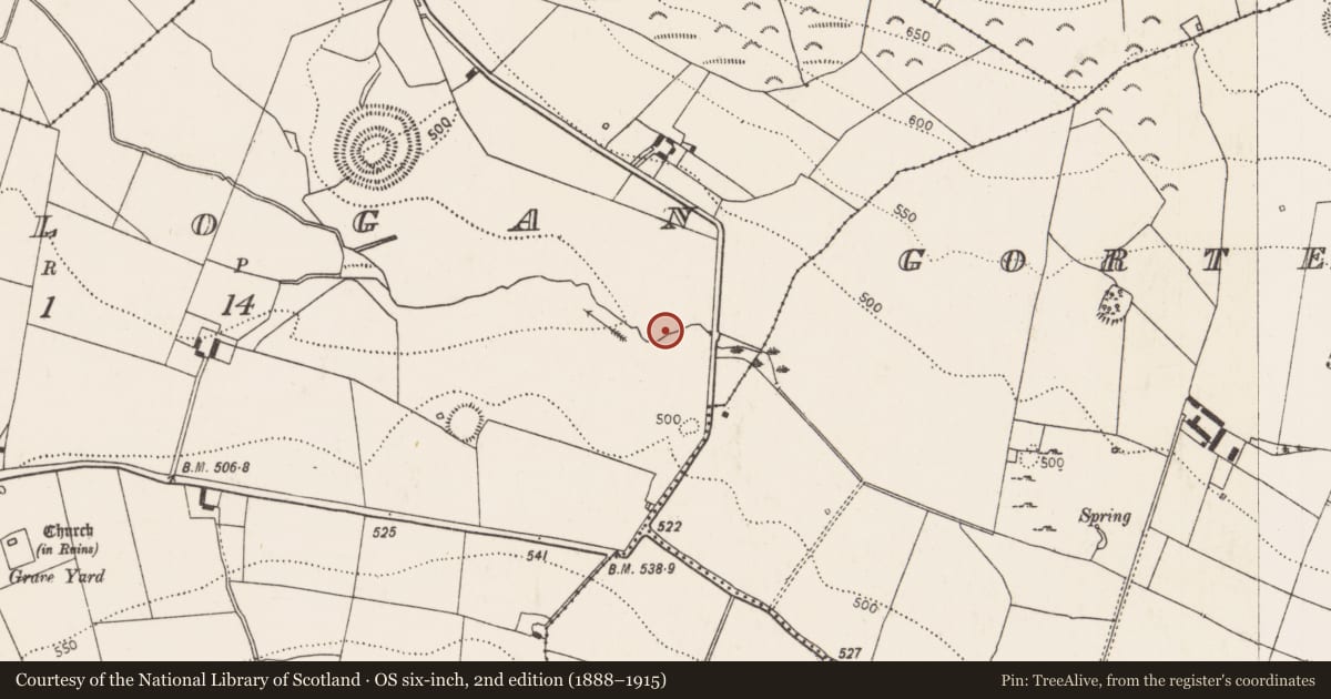 Ordnance Survey six-inch map, 2nd edition (1888–1915) covering the location of Fulacht fia, Rathlogan, County Kilkenny, with a pin at the register's coordinates
