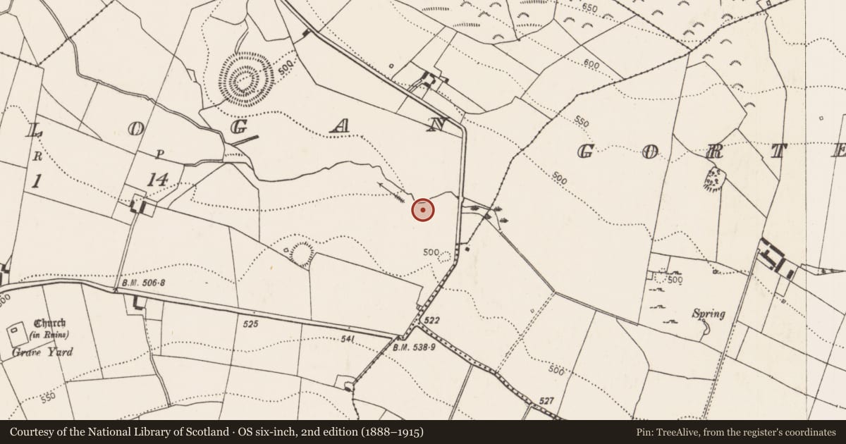 Ordnance Survey six-inch map, 2nd edition (1888–1915) covering the location of Fulacht fia, Rathlogan, County Kilkenny, with a pin at the register's coordinates