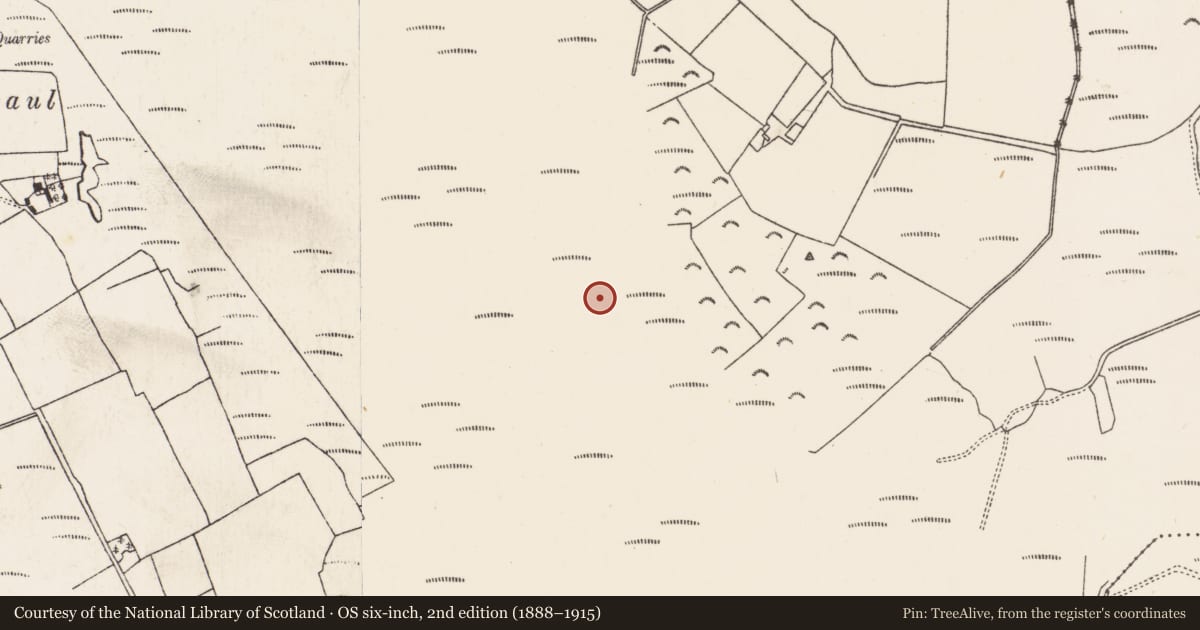 Ordnance Survey six-inch map, 2nd edition (1888–1915) covering the location of Structure - peatland, Baunmore, County Kilkenny, with a pin at the register's coordinates