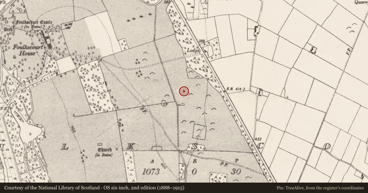 Ordnance Survey six-inch map, 2nd edition (1888–1915) covering the location of Burnt mound, Foulkscourt, County Kilkenny, with a pin at the register's coordinates