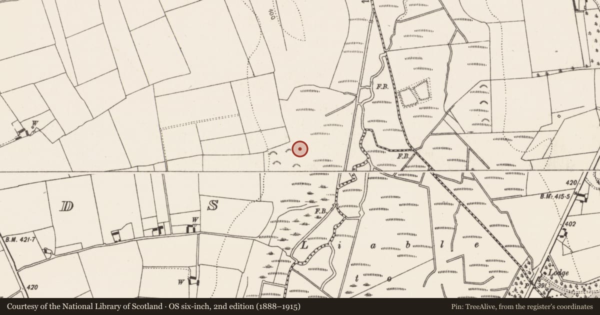 Ordnance Survey six-inch map, 2nd edition (1888–1915) covering the location of Fulacht fia, Islands, County Kilkenny, with a pin at the register's coordinates