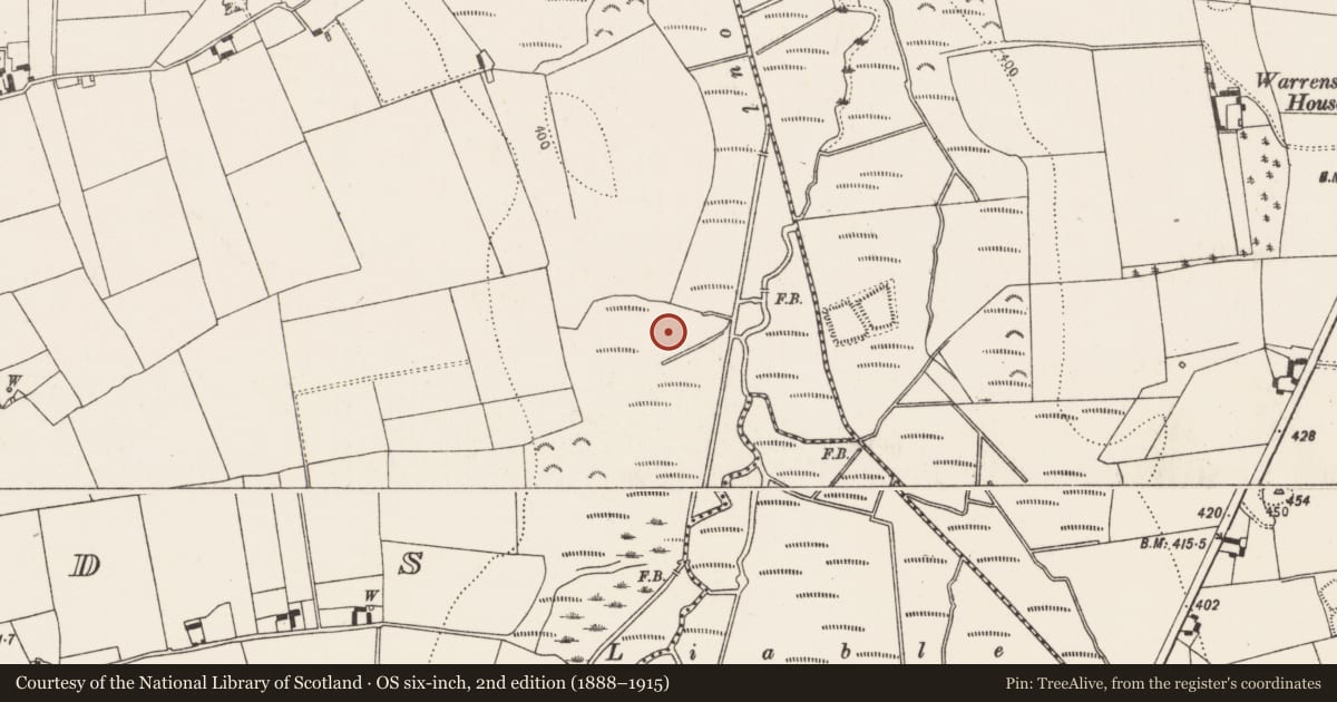 Ordnance Survey six-inch map, 2nd edition (1888–1915) covering the location of Fulacht fia, Islands, County Kilkenny, with a pin at the register's coordinates