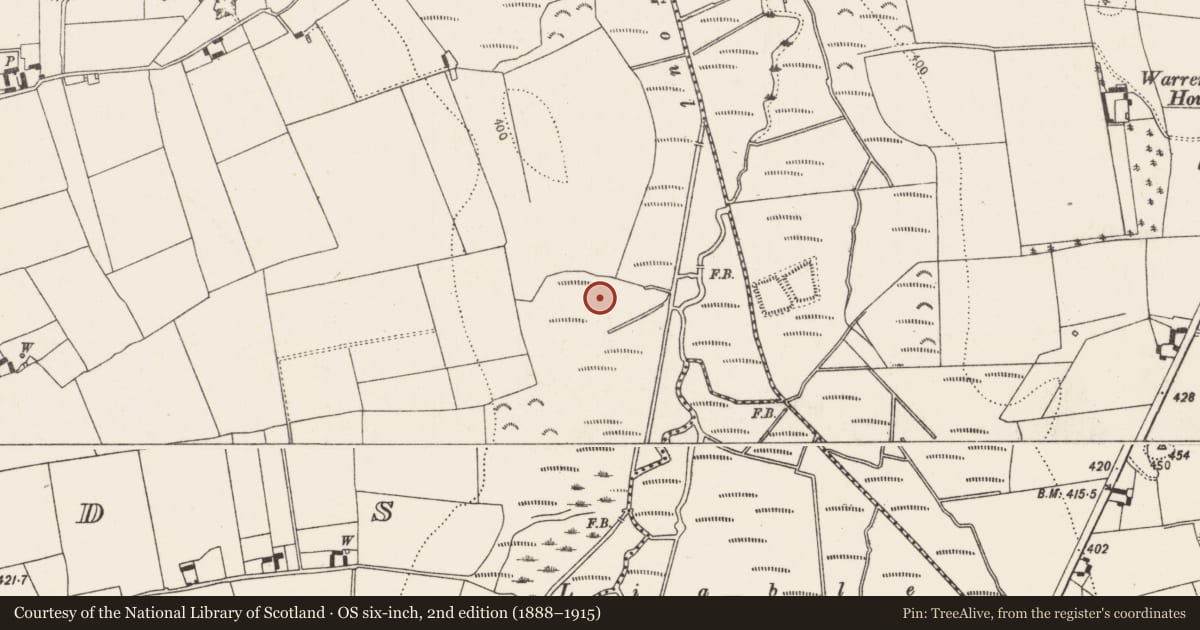 Ordnance Survey six-inch map, 2nd edition (1888–1915) covering the location of Fulacht fia, Islands, County Kilkenny, with a pin at the register's coordinates