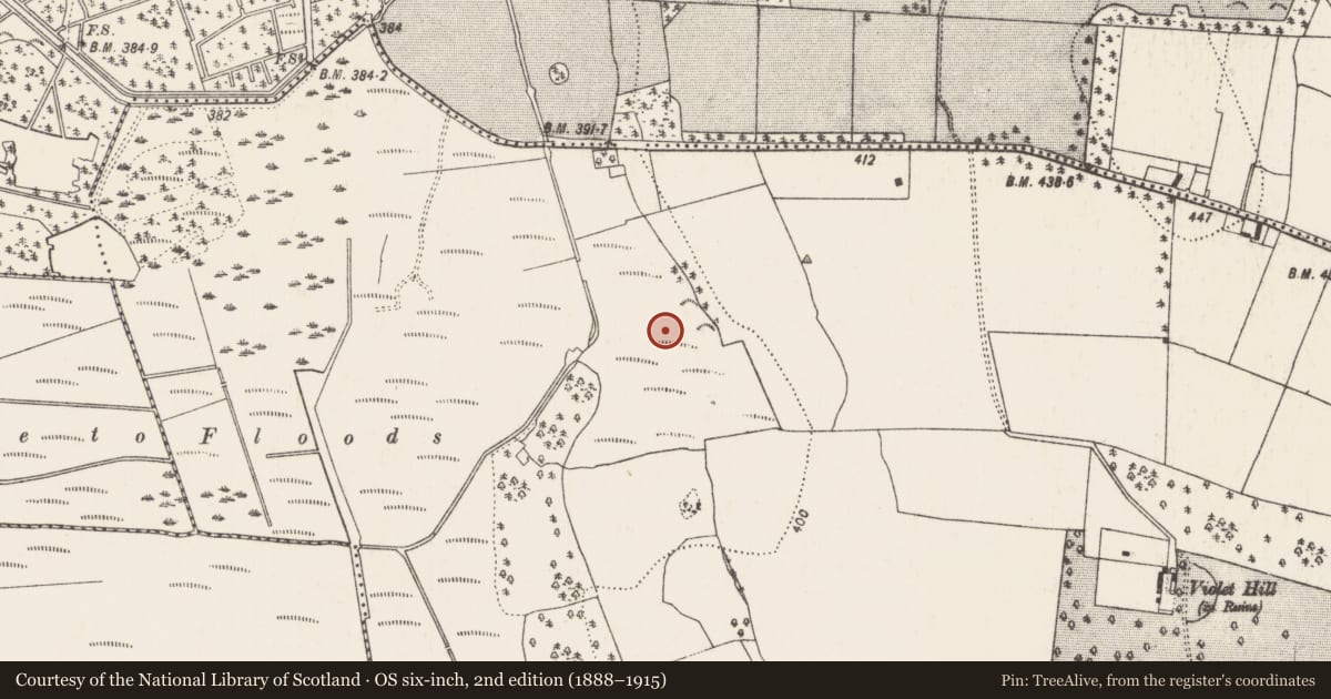 Ordnance Survey six-inch map, 2nd edition (1888–1915) covering the location of Burnt mound, Warrenstown, County Kilkenny, with a pin at the register's coordinates