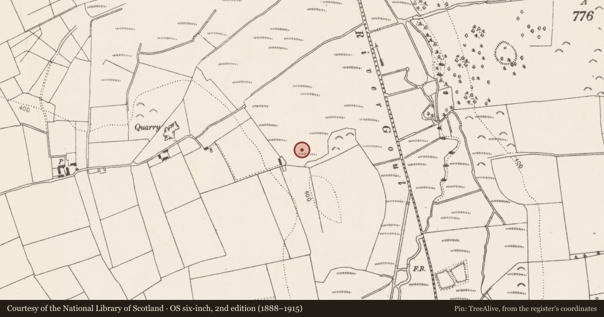 Ordnance Survey six-inch map, 2nd edition (1888–1915) covering the location of Fulacht fia, Islands, County Kilkenny, with a pin at the register's coordinates