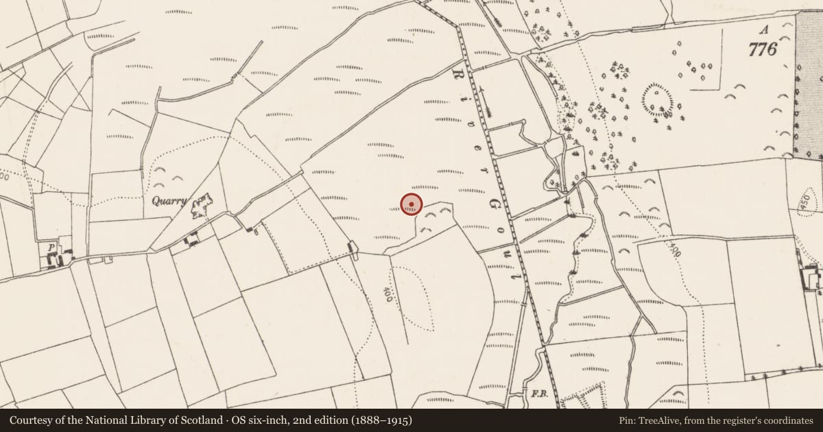 Ordnance Survey six-inch map, 2nd edition (1888–1915) covering the location of Fulacht fia, Islands, County Kilkenny, with a pin at the register's coordinates
