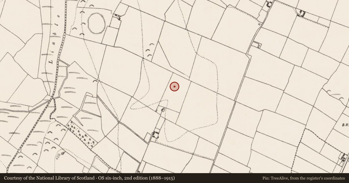 Ordnance Survey six-inch map, 2nd edition (1888–1915) covering the location of Enclosure, Grangefertagh, County Kilkenny, with a pin at the register's coordinates