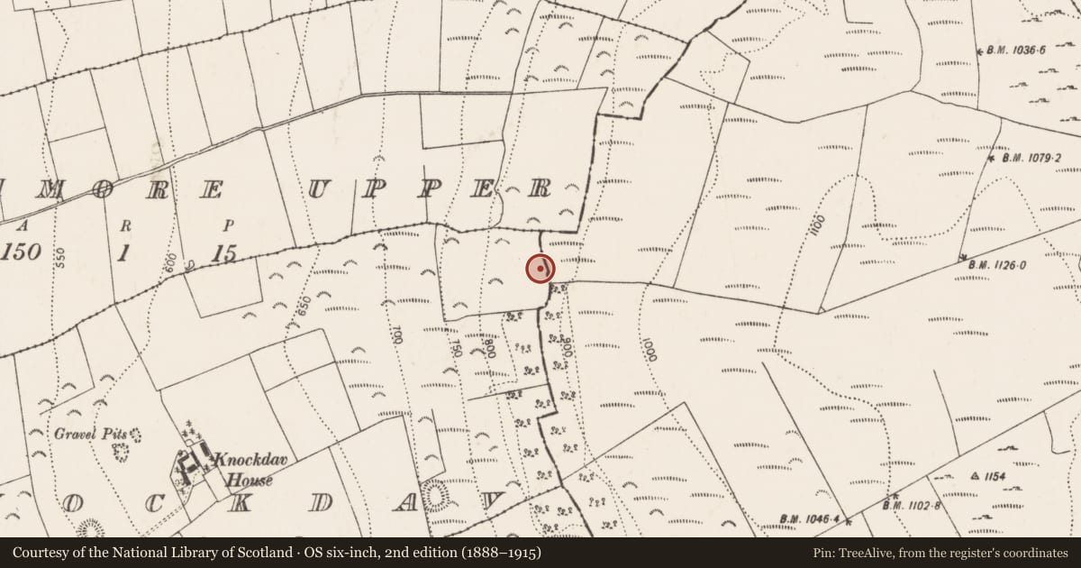 Ordnance Survey six-inch map, 2nd edition (1888–1915) covering the location of Barrow - stepped barrow, Knockdav, County Kilkenny, with a pin at the register's coordinates