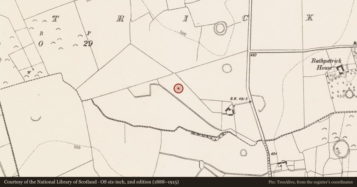 Ordnance Survey six-inch map, 2nd edition (1888–1915) covering the location of Fulacht fia, Rathpatrick, County Kilkenny, with a pin at the register's coordinates