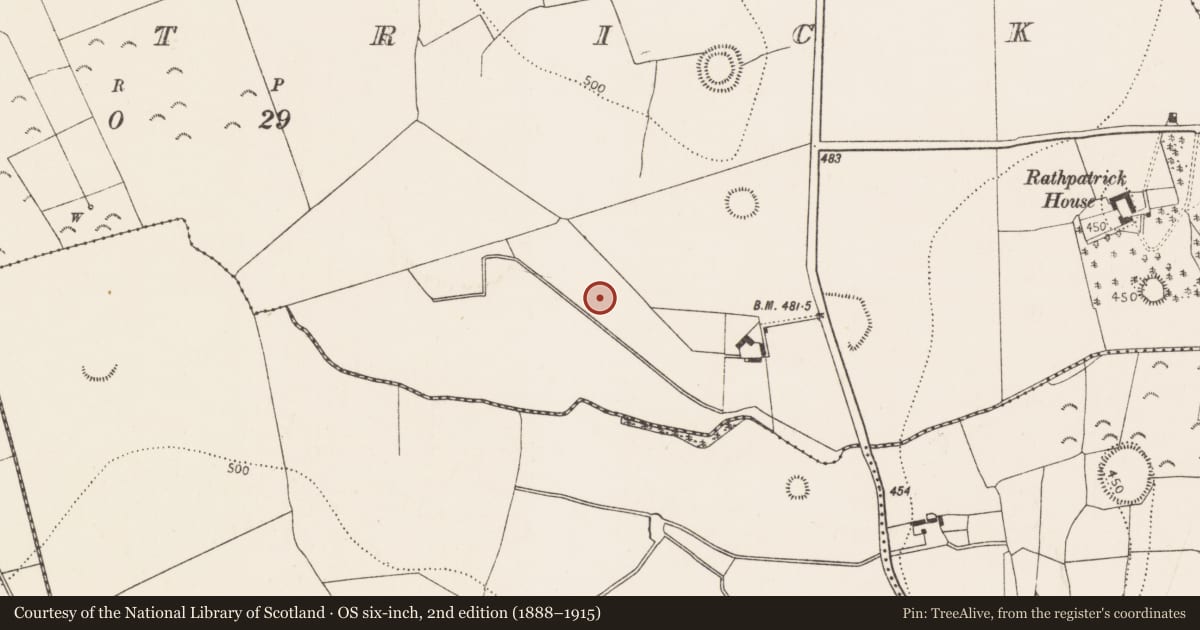 Ordnance Survey six-inch map, 2nd edition (1888–1915) covering the location of Fulacht fia, Rathpatrick, County Kilkenny, with a pin at the register's coordinates